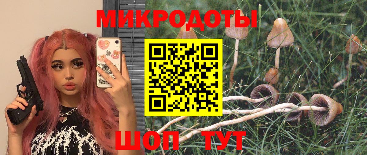 Псков  Псилоцибиновые грибы Psilocybine cubensis  Вход с VPN 