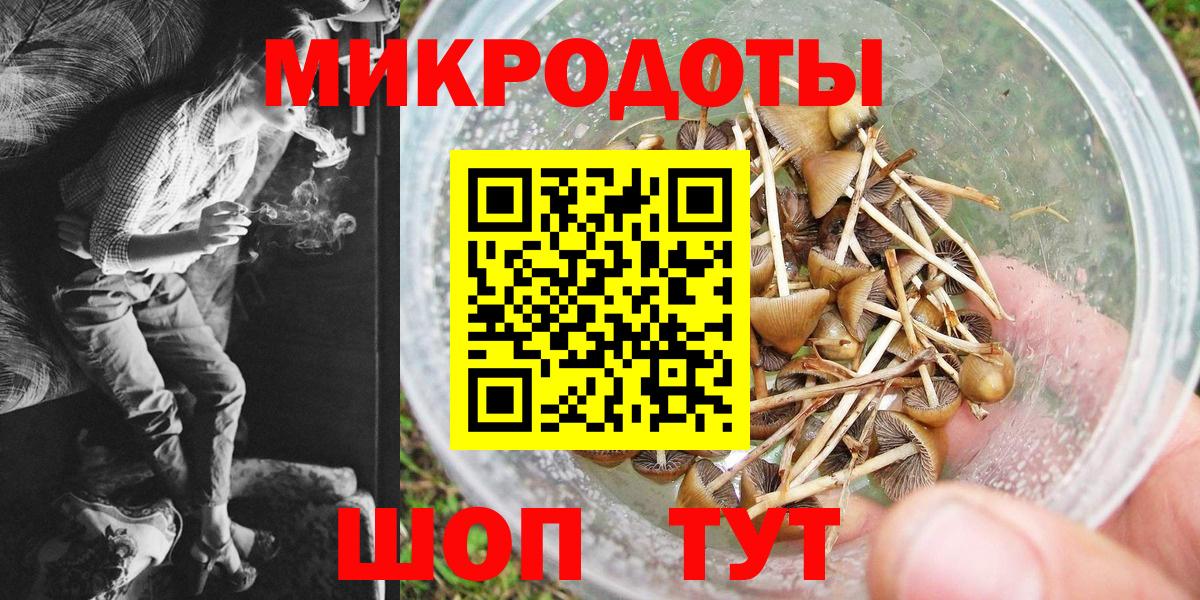 Галлюциногенные грибы мицелий Псков